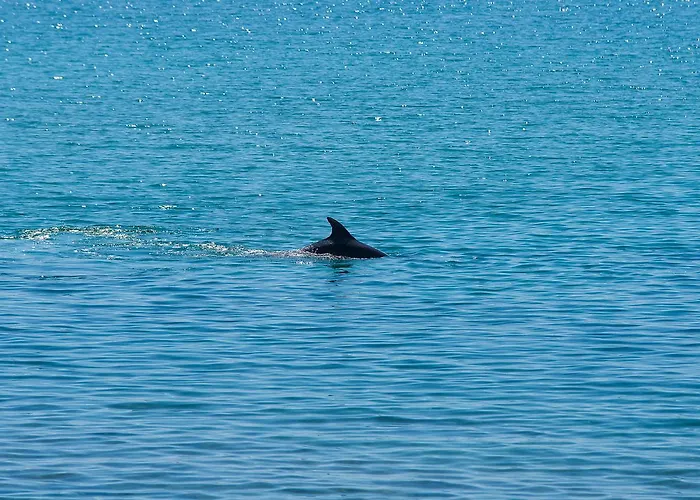 Hotel Aegean Infinity Deluxe